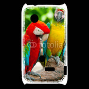 Coque Sony Xperia Typo Couple de perroquets