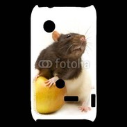 Coque Sony Xperia Typo Rat bicouleur