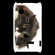 Coque Sony Xperia Typo Chat noir et blanc