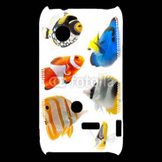 Coque Sony Xperia Typo Poisson 1