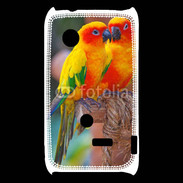 Coque Sony Xperia Typo Couple d'oiseaux colorés