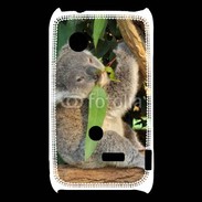 Coque Sony Xperia Typo Koala 2