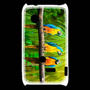 Coque Sony Xperia Typo Trois perroquets bleu et jaune