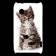 Coque Sony Xperia Typo Chaton gris 3