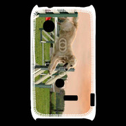 Coque Sony Xperia Typo Agility Golden retriever