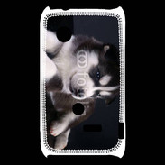 Coque Sony Xperia Typo Chiot Husky de Sibérie