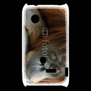 Coque Sony Xperia Typo Portrait de singe