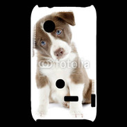 Coque Sony Xperia Typo Chiot Colley marron et blanc
