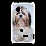 Coque Sony Xperia Typo Chiot Shihtzu