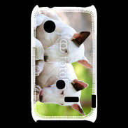 Coque Sony Xperia Typo Chien Bull terrier anglais 1