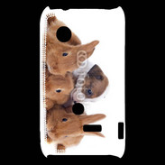 Coque Sony Xperia Typo Gardien de lapins