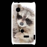 Coque Sony Xperia Typo Raton laveur dans un arbre