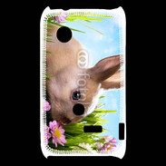 Coque Sony Xperia Typo Lapin et fleurs