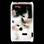 Coque Sony Xperia Typo Duo de chatons 2