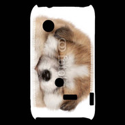 Coque Sony Xperia Typo Chiot chien loup 5