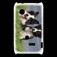 Coque Sony Xperia Typo Chien Border Collie noir et blanc