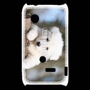Coque Sony Xperia Typo Chiot berger blanc suisse
