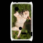 Coque Sony Xperia Typo Chiot labrador 3