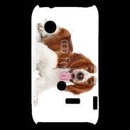 Coque Sony Xperia Typo Chien Springer Spaniel