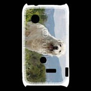 Coque Sony Xperia Typo Berger des pyrennées