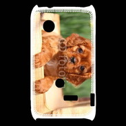 Coque Sony Xperia Typo Chiot King Charles 2