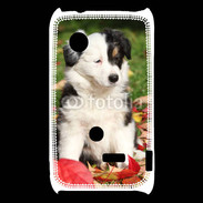 Coque Sony Xperia Typo Adorable chiot Border collie