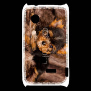 Coque Sony Xperia Typo Chiot Yorkshire 10