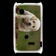Coque Sony Xperia Typo Chiot labrador avec pomme de pin