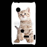 Coque Sony Xperia Typo Adorable chaton 7