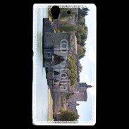Coque Sony Xperia Z Pont d'avignon