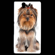 Coque Sony Xperia Z Yorkshire Terrier