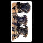 Coque Sony Xperia Z Chiots Berger Allemand