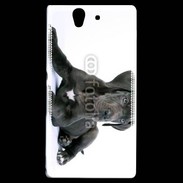 Coque Sony Xperia Z Dogue allemand noir