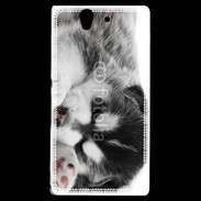 Coque Sony Xperia Z Chiot Husky