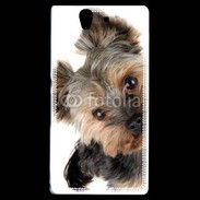 Coque Sony Xperia Z Portrait de Yorkshire