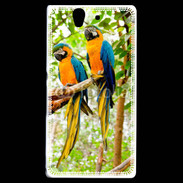 Coque Sony Xperia Z Duo de perroquets