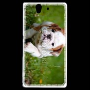 Coque Sony Xperia Z Chiot bulldog anglais 3