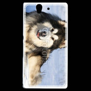 Coque Sony Xperia Z Chien d'Alaska