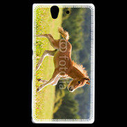 Coque Sony Xperia Z Poulain dans un champs