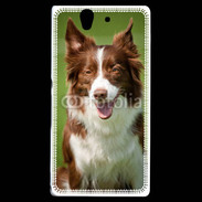 Coque Sony Xperia Z Chien Colley marron et blanc