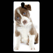 Coque Sony Xperia Z Chiot Colley marron et blanc