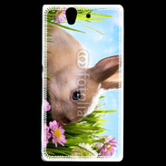 Coque Sony Xperia Z Lapin et fleurs