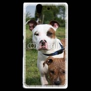 Coque Sony Xperia Z Chien Staffordshire