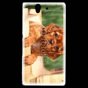 Coque Sony Xperia Z Chiot King Charles 2