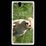 Coque Sony Xperia Z Mignon petit labrador