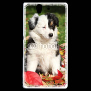 Coque Sony Xperia Z Adorable chiot Border collie