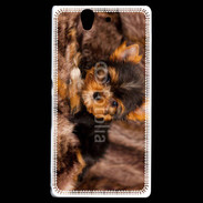 Coque Sony Xperia Z Chiot Yorkshire 10
