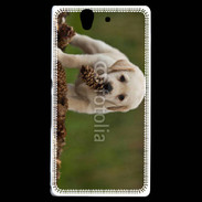 Coque Sony Xperia Z Chiot labrador avec pomme de pin