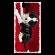 Coque Sony Xperia Z Chiot noir et blanc 5