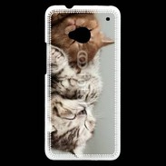 Coque HTC One Sieste de chatons